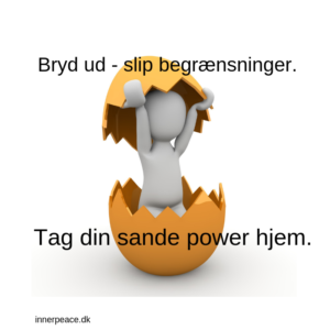 Bryd begrænsninger, power